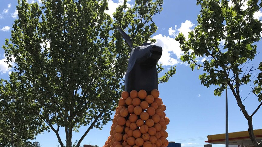 Kangaroo orange sculpture at Griffith Spring Fest