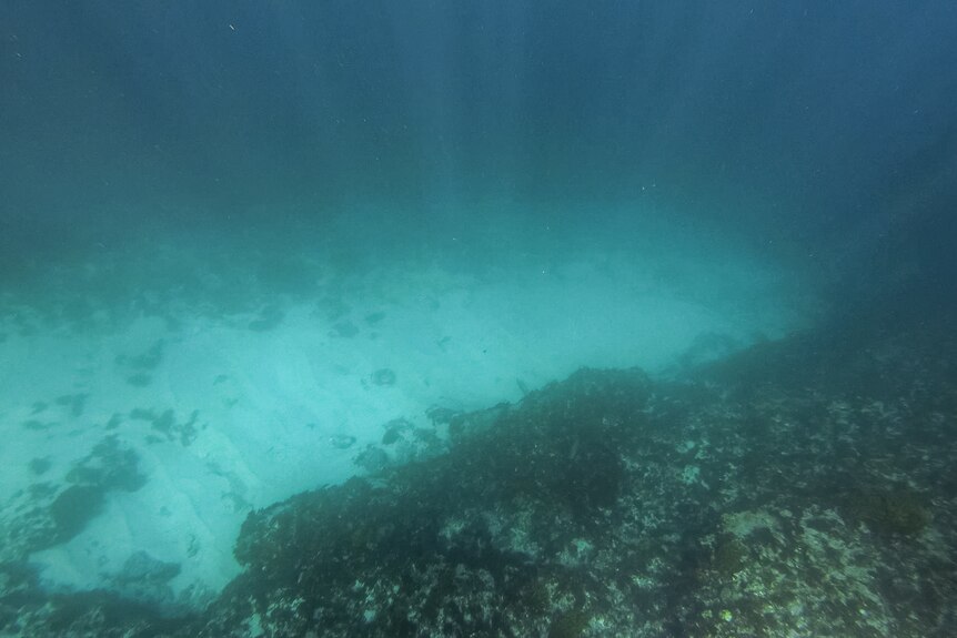 A view of the reef indent from within the water