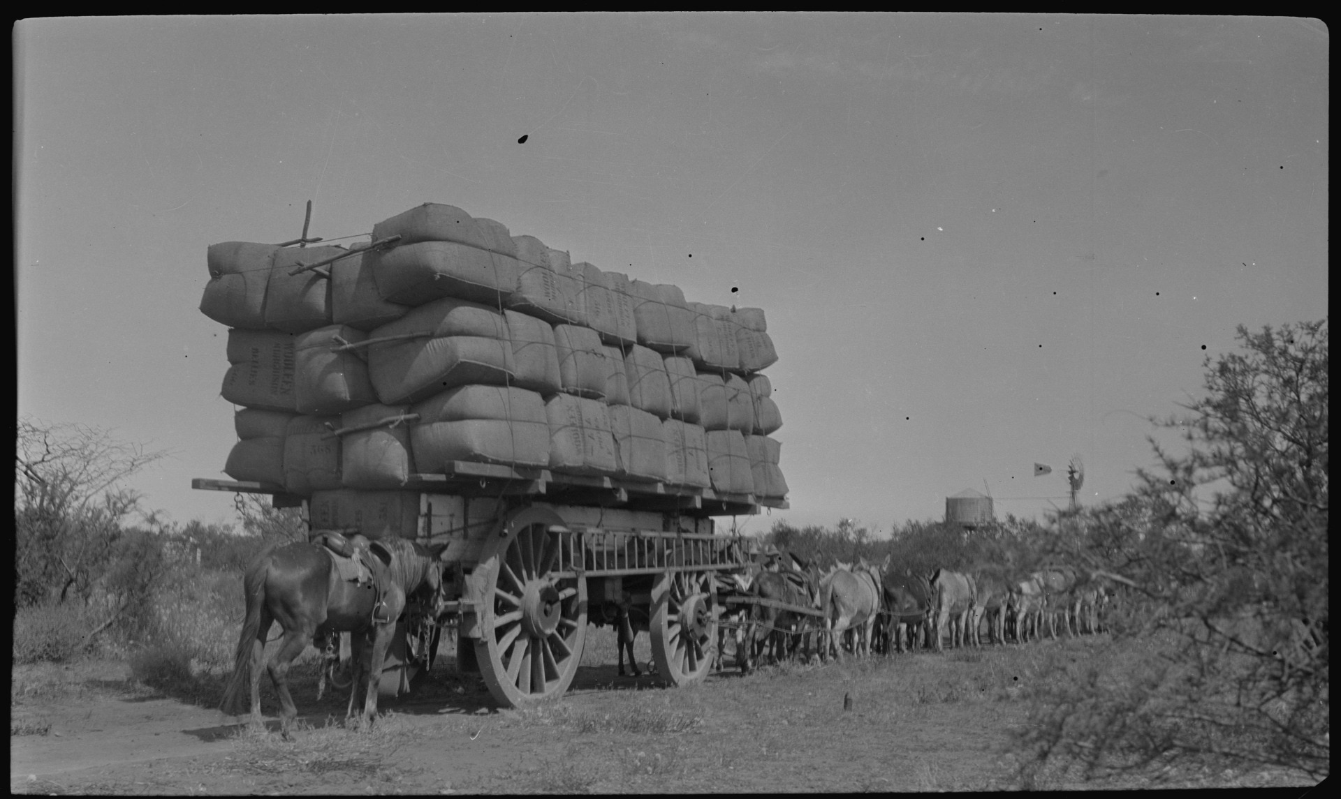 A towering pile of stacked bales on a wagon with donkeys