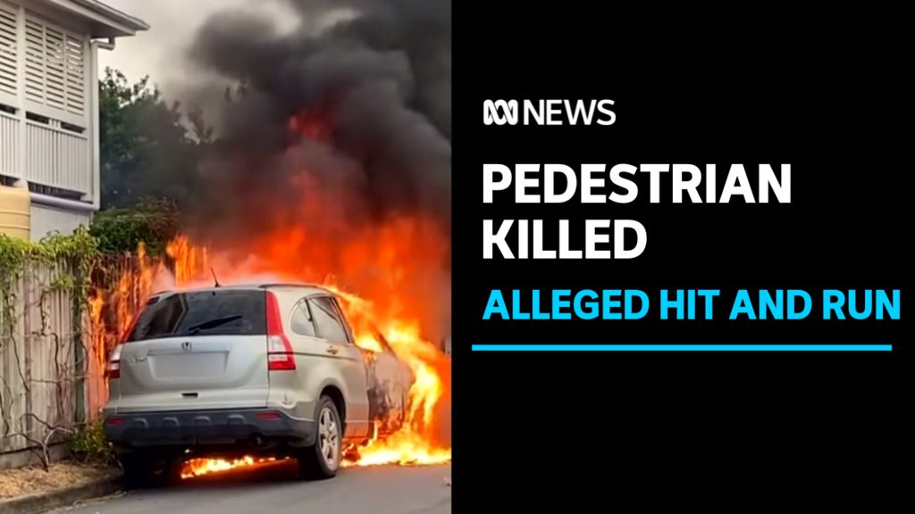 ABC News QLD: Elderly man killed in alleged hit and run in Brisbane ...