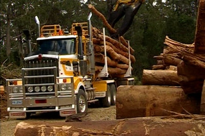 Tasmania's native forest sector is ramping up