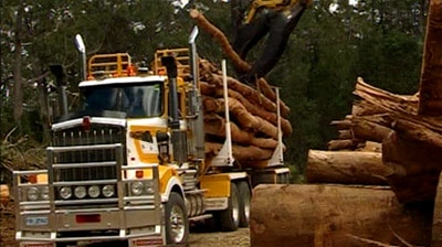 A truck is loaded with logs