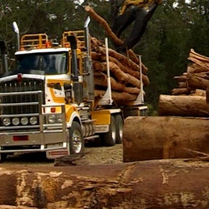 Logging truck