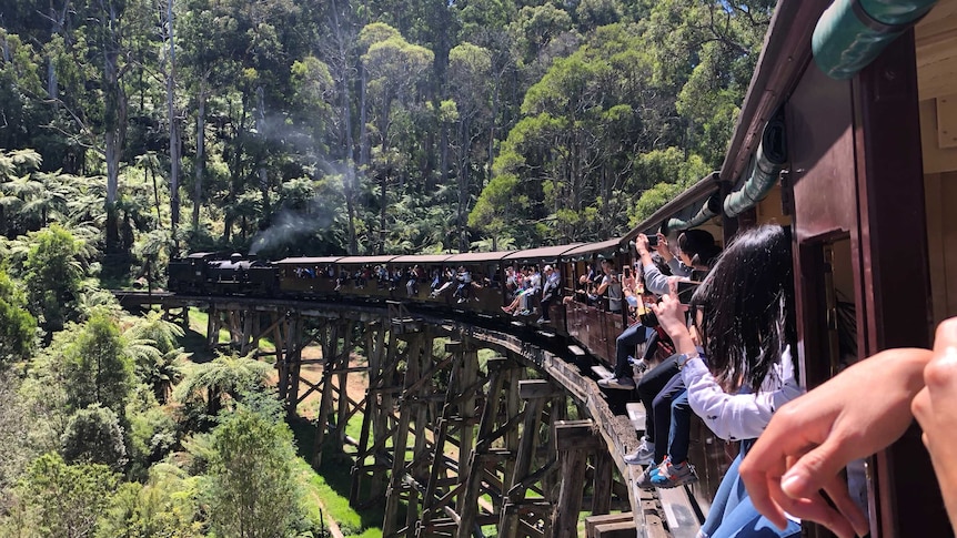 Puffing Billy driving over a trestle bridge in the Dandenong Ranges.
