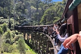 Puffing Billy driving over a trestle bridge in the Dandenong Ranges.