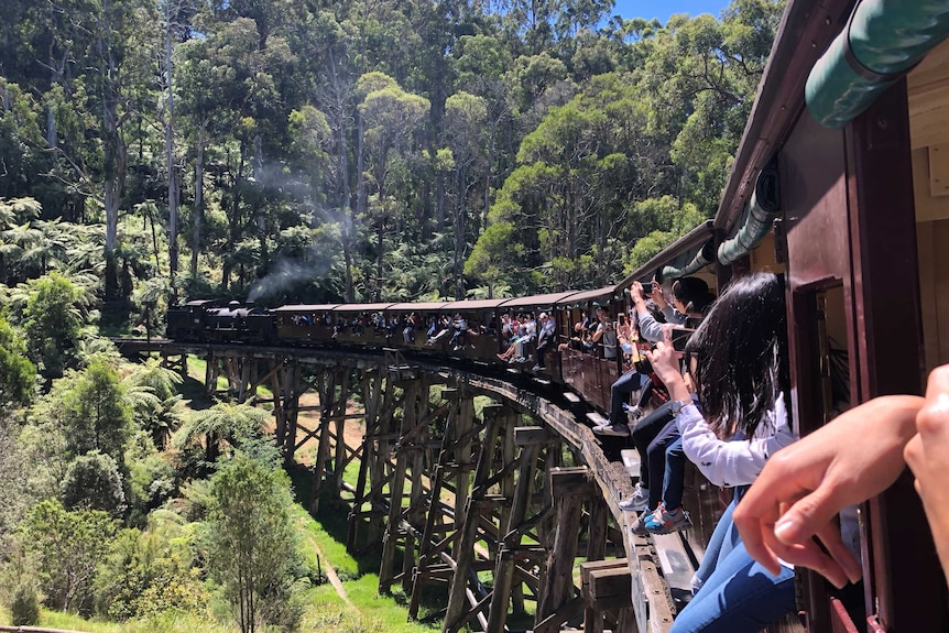 Puffing Billy driving over a trestle bridge in the Dandenong Ranges.