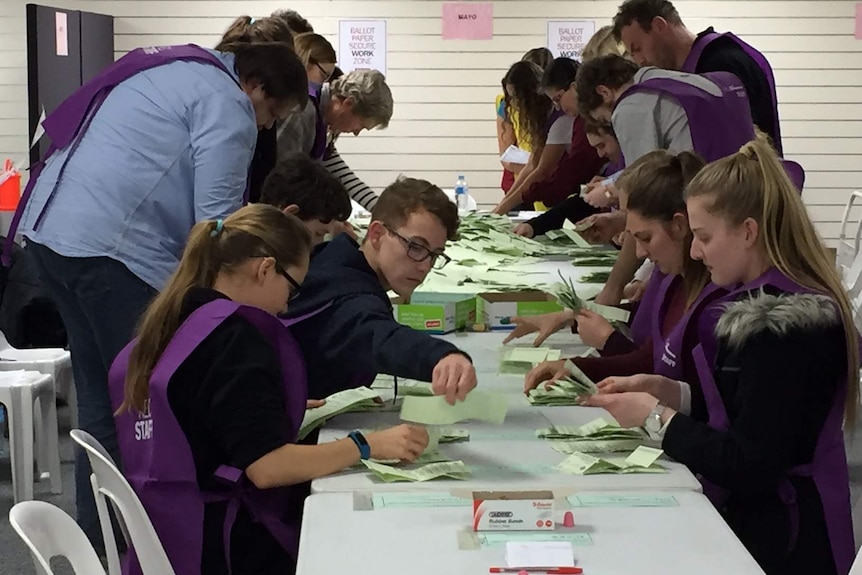 AEC officials counting the votes for Mayo.