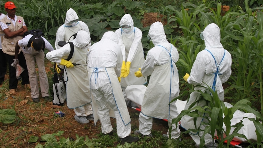 Workers in protective clothing with a body