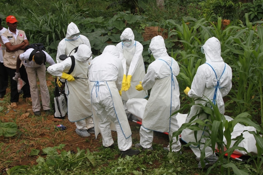 Workers in protective clothing with a body