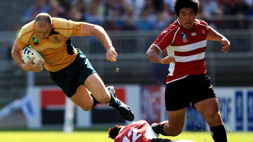 Staying put ... Stirling Mortlock is keen to continue playing for the Wallabies