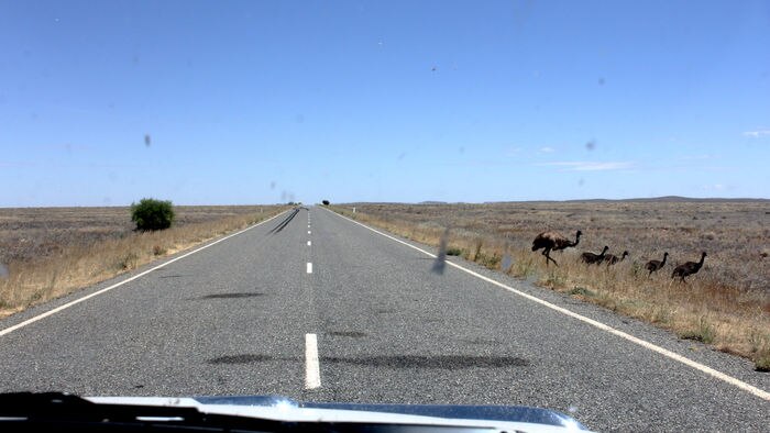 The road from Menindee to Broken Hill