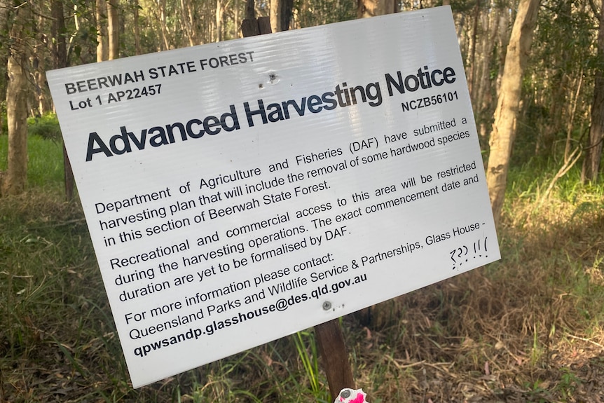 A sign with a written notice of the government's intention to log