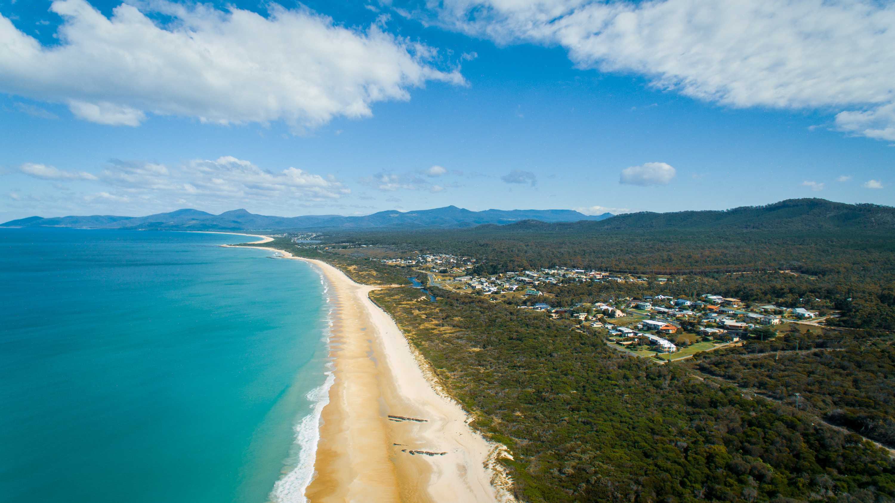 Fifty people visited the beach the day Victoria Cafasso was murdered