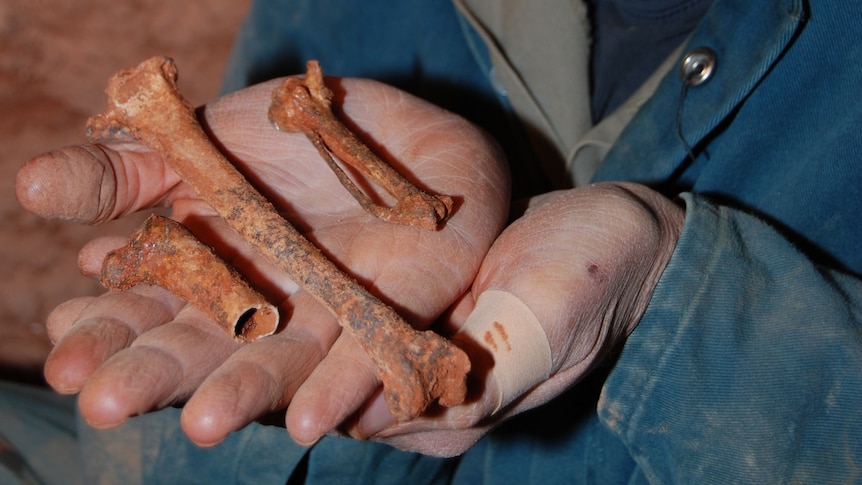 Dr Gavin Prideaux from Flinders University holds bones uncovered during palaeontological excavations on the Nullarbor Plain