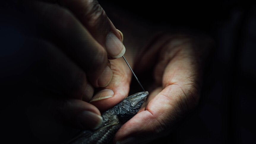 Scientist inspects deep sea fish