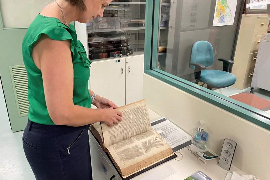 Queensland Herbarium library includes a book from the 1500s