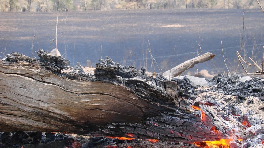 A major blaze in the Mount Archer National Park near Rockhampton has been burning for 10 days.