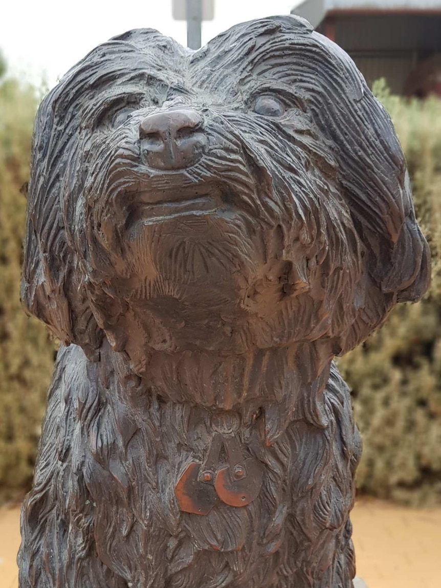 A bronze statue of Bob the Railway Dog surrounded by a garden sits on pavers with the names of pets on them.