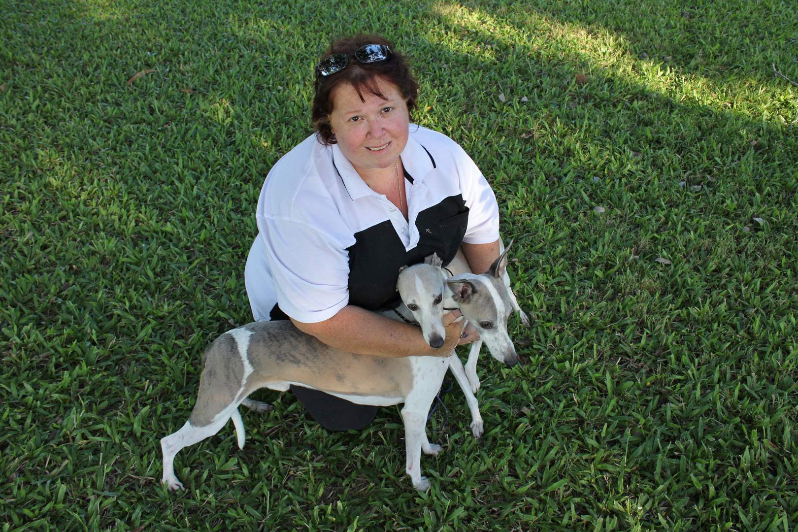 Queensland dog breeders fear new registration laws will not stop