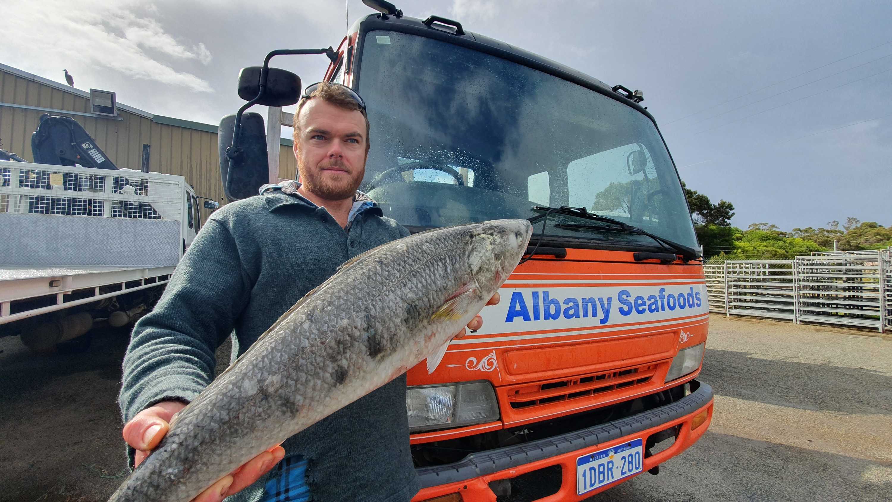 Canned tuna and salmon production to be revived in Albany by local business ABC News