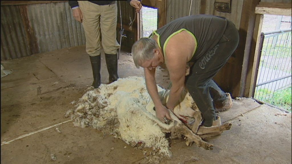 What is Q fever? Part 2 Science, Policy & Industry