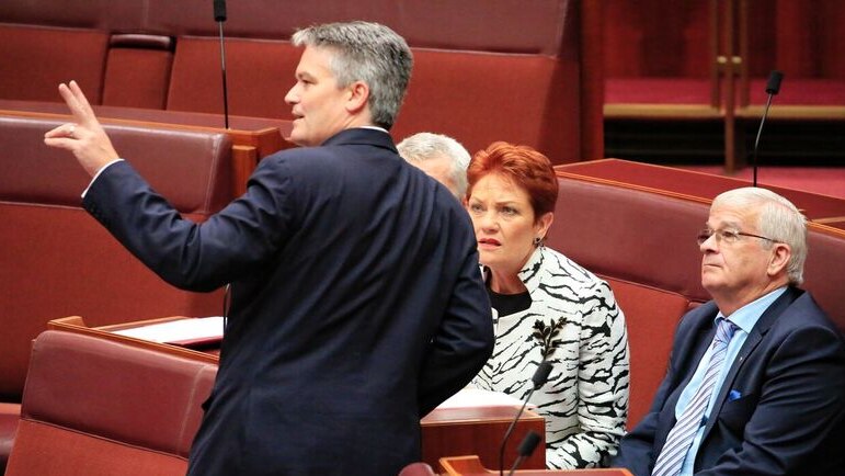 Mathias Cormann gestures while speaking to Pauline Hanson in the Senate.