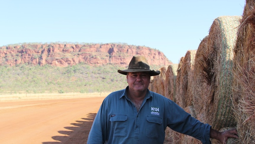 Milton Jones standing next to hay bales, in front of an escarpment