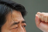 Japanese Prime Minister Shinzo Abe