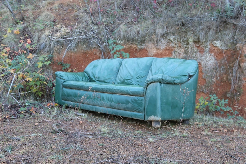 A green leather couch in the middle of the bush.