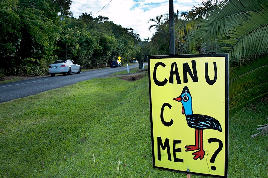 School kids designed the signs to put up on local roads during busy weekends - this one is on Bingil Bay Road.