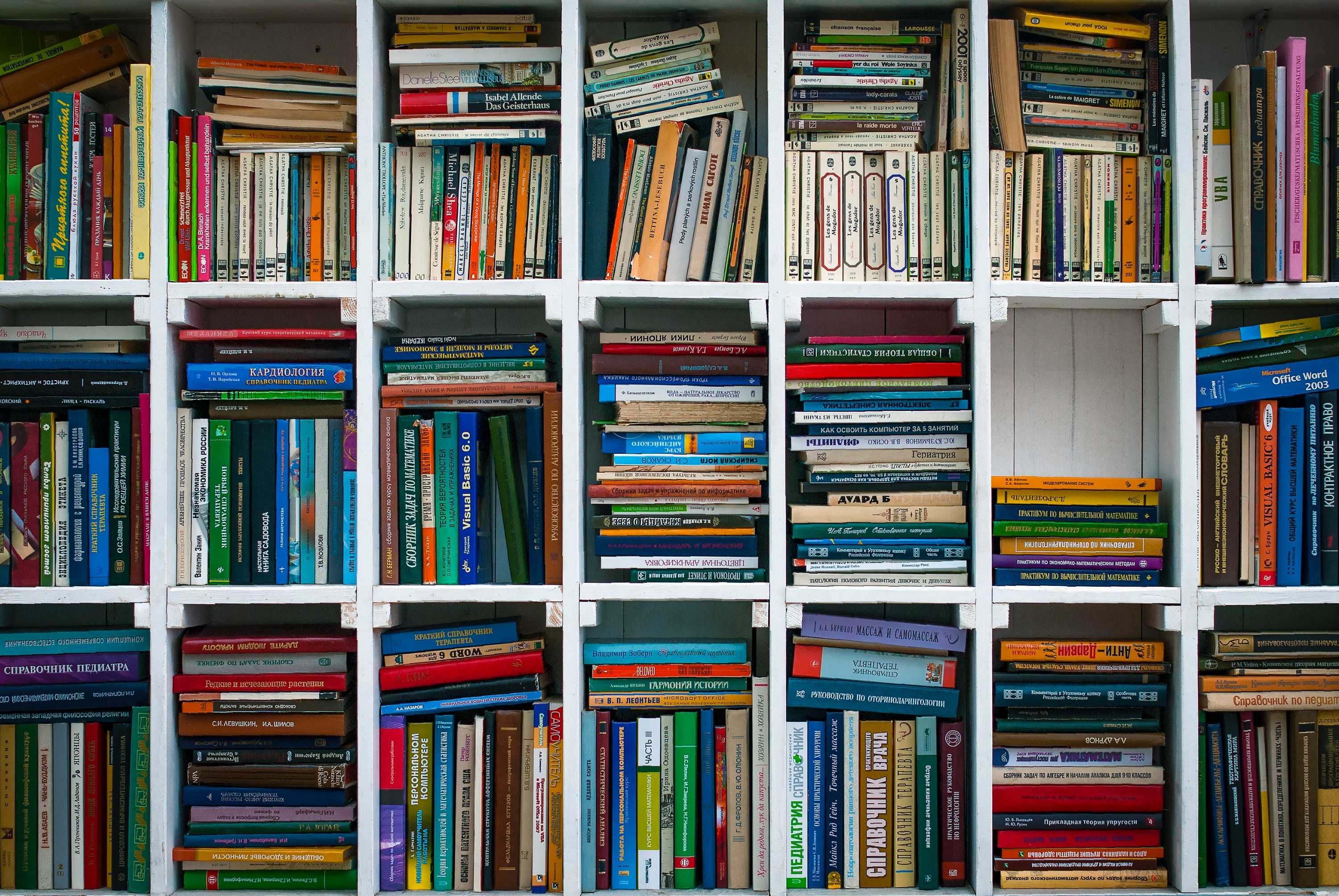 On Summer reading and Ben Okri's The Freedom Artist, Chigozie Obioma's An Orchestra of Minorities and Søren Sveistrup's The Chestnut Man episode artwork