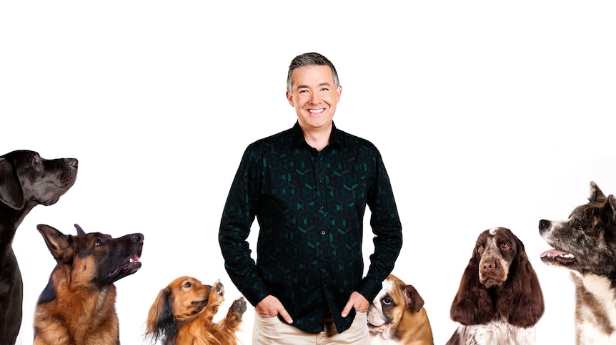 Michael Tetlow standing in the middle of 5 dogs looking up at him