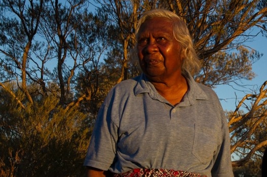 An older aboriginal woman in a bush environment looking out to the distance