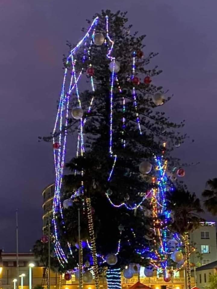 A very tall Christmas tree with lights draped down the sides.