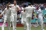 Jackson Bird celebrates taking a wicket against Worcestershire