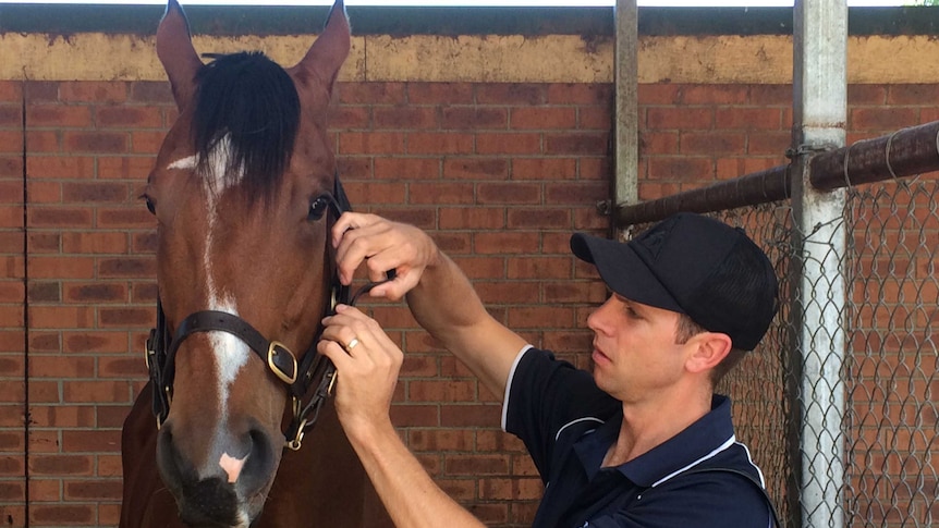 Canberra racehorse Fell Swoop with trainer Matthew Dale.