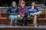 An older couple with their adult son and baby girl sitting on a bench sea with their black labrador dog