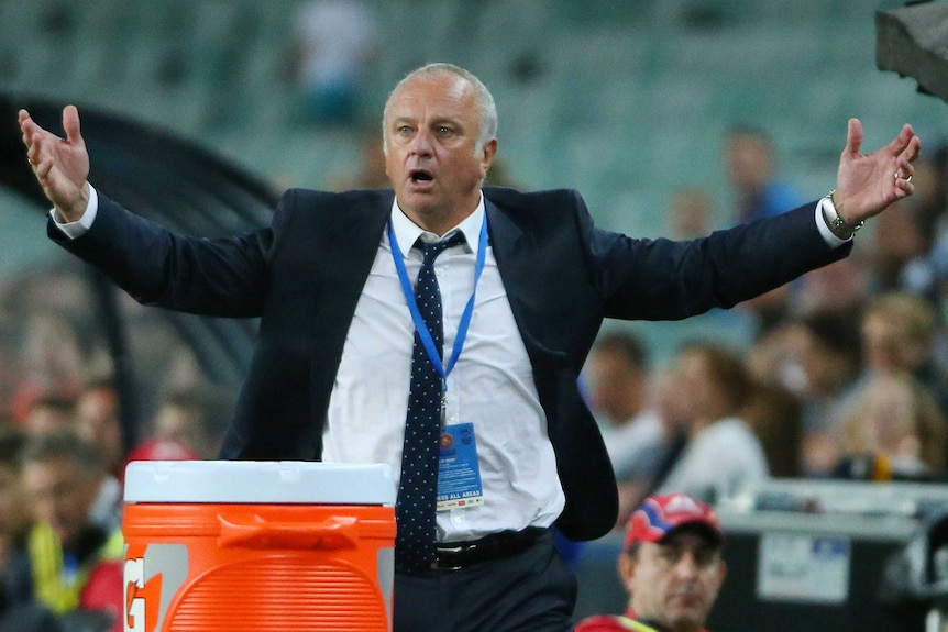 Graham Arnold is angry