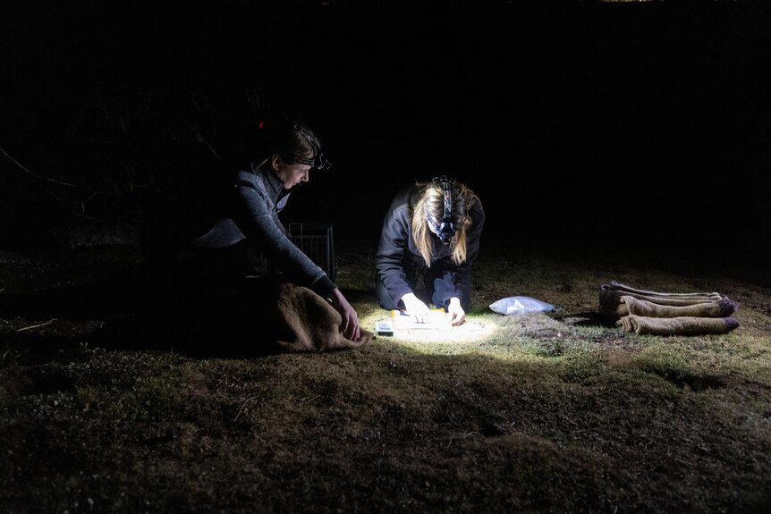 two people squatting on the ground in the dark with spot lights on their head reading a list