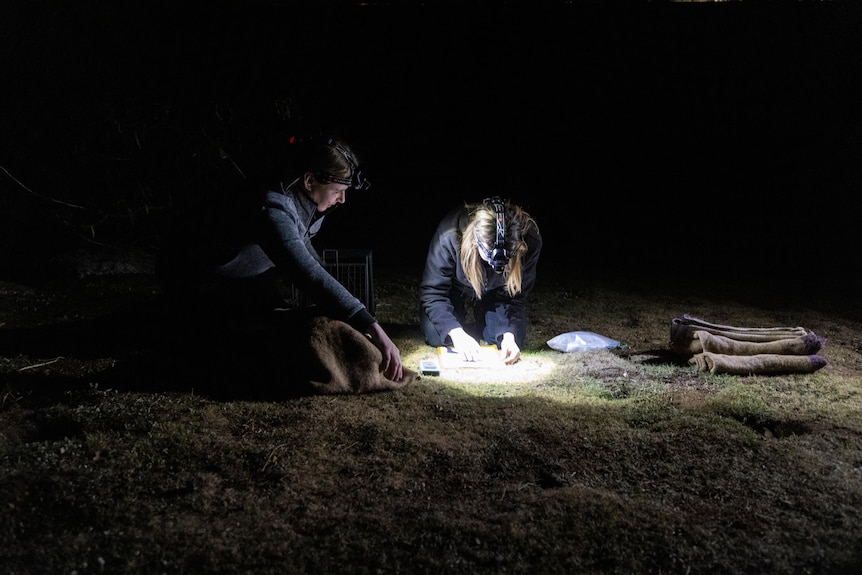 two people squatting on the ground in the dark with spot lights on their head reading a list