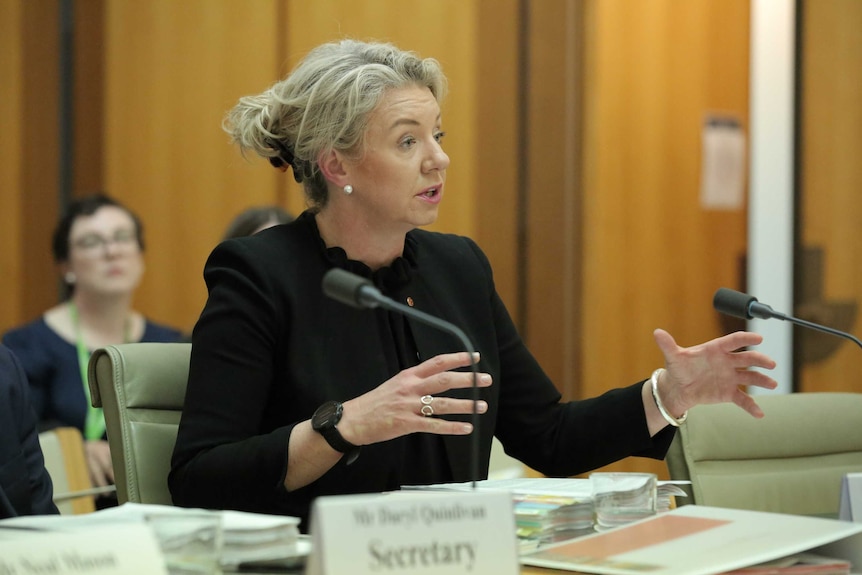 Bridget McKenzie sits at a table in a wood-panelled room responding to questions from senators