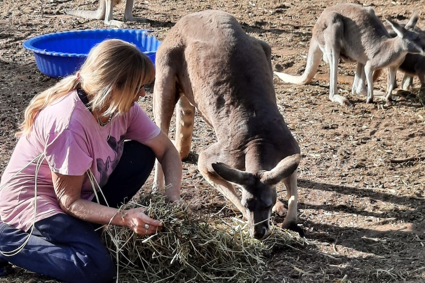 Une femme à côté d'un kangourou