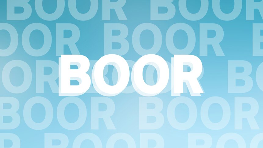 The word 'boor' in written in block white text with a light blue background. 