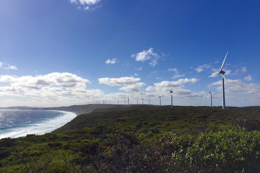 A series of white turbines on the coastline of Albany in Western Australia