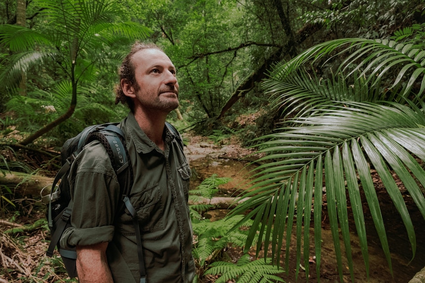 Mark Graham is wearing a backpack, surrounded by palm tree leaves in a lush green rainforest.