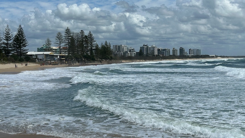 a wide shot of a bay with waves rolling in. buildings can be seen in the distance