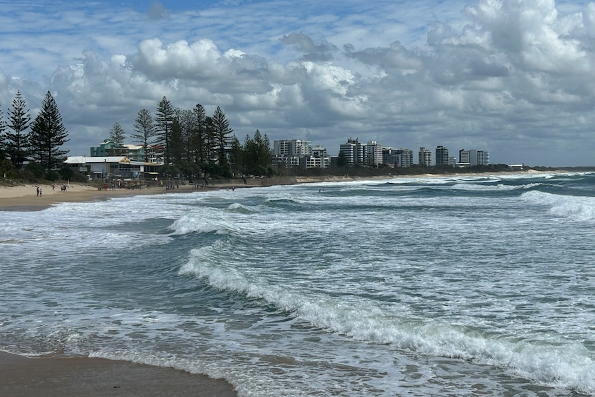 a wide shot of a bay with waves rolling in. buildings can be seen in the distance