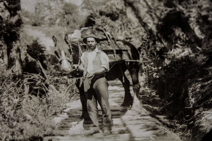 John Beattie and his packhorse