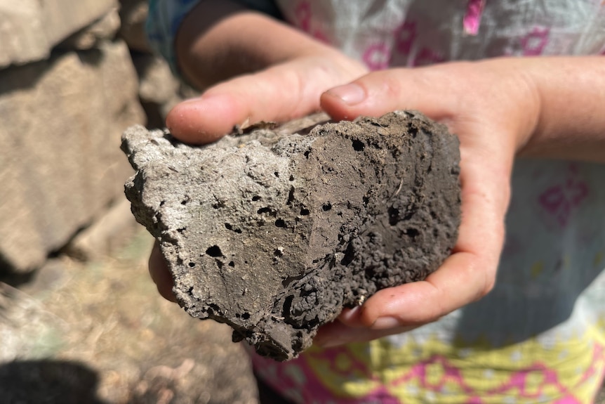 A woman's hands holding a chunk of dried mud with small holes in it.