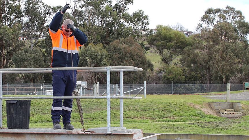 TasWater worker removing items from sewer treatment system.